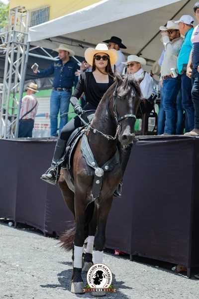 Fotografía de Desfile Hipico Chiquimula