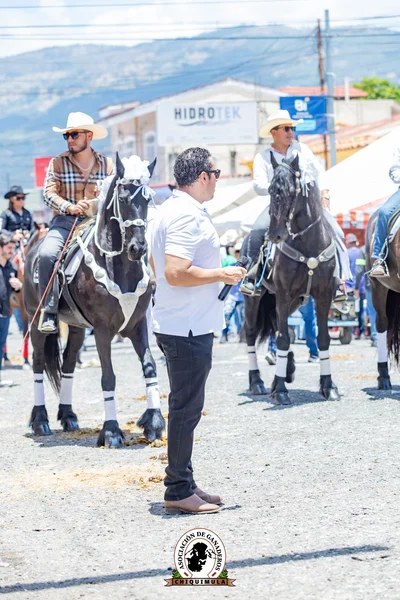 Fotografía de Desfile Hipico Chiquimula