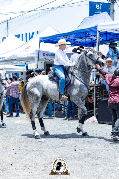 Fotografía de Desfile Hipico Chiquimula
