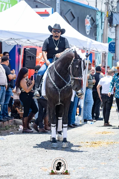 Fotografía de Desfile Hipico Chiquimula
