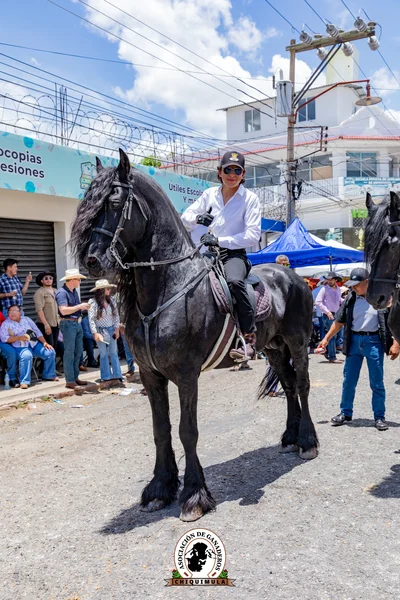 Fotografía de Desfile Hipico Chiquimula