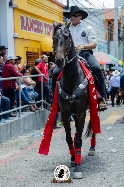 Fotografía de Desfile Hipico Chiquimula