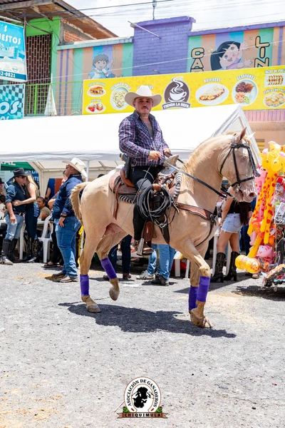 Fotografía de Desfile Hipico Chiquimula