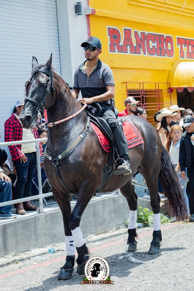 Fotografía de Desfile Hipico Chiquimula