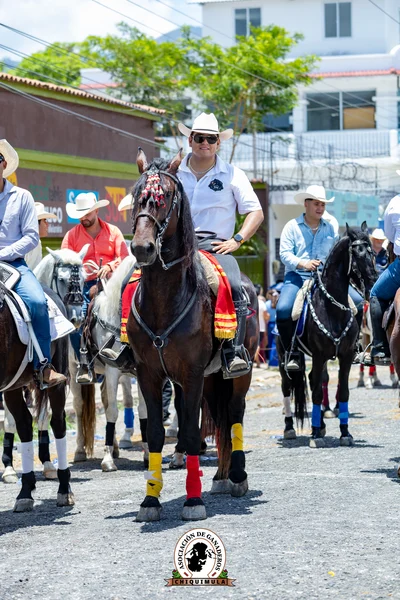 Fotografía de Desfile Hipico Chiquimula